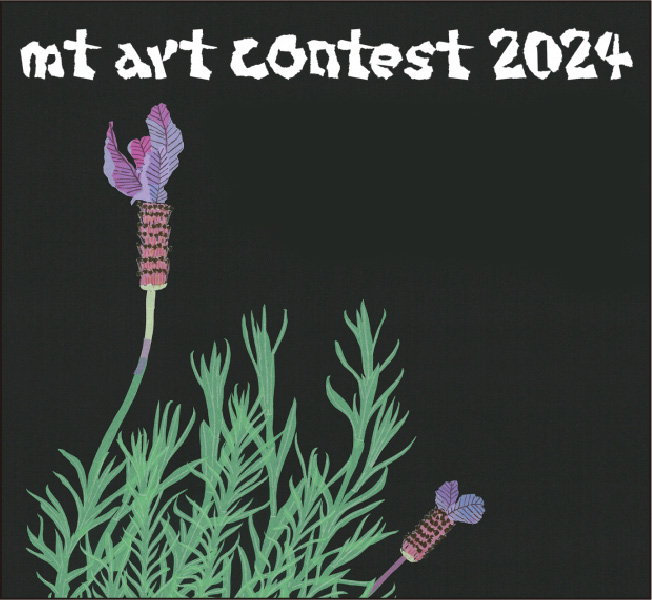 mt art contest6